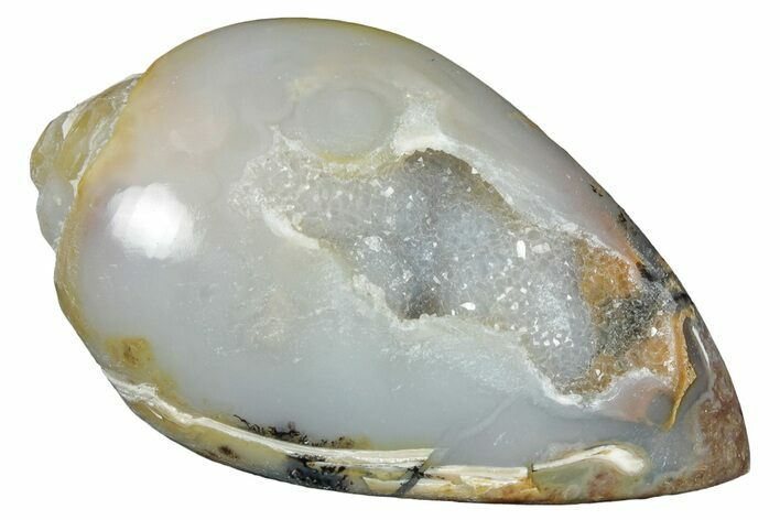 Chalcedony Replaced Gastropod With Sparkly Quartz - India #320834